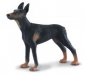 Pies doberman L (88086)