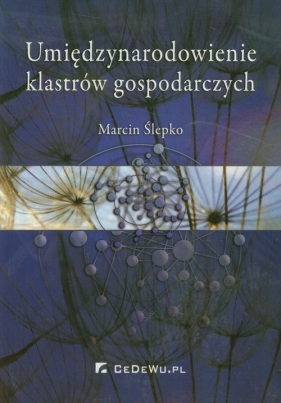 Umiędzynarodowienie klastrów gospodarczych - Ślepko Marcin