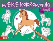 Wielkie kolorowanki Kucyki