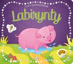 Książeczka przedszkolaka Labirynty