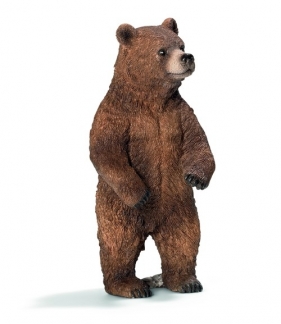 Niedźwiedzica Grizzly - 14686
