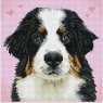 <img src='https://webimage.pl/pics/860/8/d4895225918096.jpg' width='400' height='399'> Diamond Dotz Adults - Say Hello to Zuzu