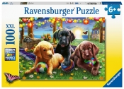 Ravensburger, Puzzle XXL 100: Psy (12886)
