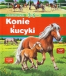 Dzieciaki pytają Konie i kucyki 3/6 lat Baumann Anne-Sophie