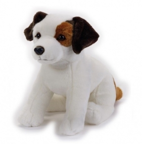 Jack Russell Maskotka (770686)