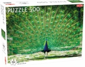 Puzzle 500: Peacock