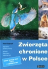 Zwierzęta chronione w Polsce  Czapczyk Paweł