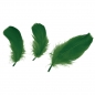 Piórka dekoracyjne Titanum - zielone (414333)