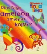 opowieści z Tinga Tinga Dlaczego Kameleon zmienia kolor