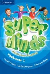 Super Minds Am English Level 1 Flashcards (103)