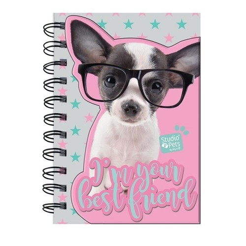 Notes Studio Pets chihuahua w okularach (PTD-3630)