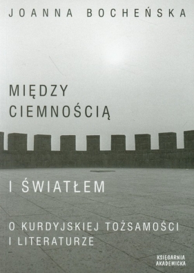 Między ciemnością a światłem - Bocheńska Joanna