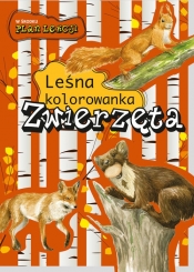 Zwierzęta. Leśna kolorowanka - Katarzyna Kopiec - Sekieta