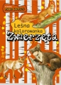 Zwierzęta. Leśna kolorowanka - Katarzyna Sekieta-Kopiec