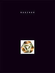 Retoryka obrazu - Michał Rusinek