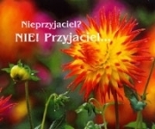 Nieprzyjaciel? Nie! Przyjaciel.... Perełka 84