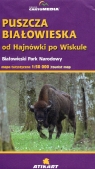 Puszcza Białowieska od Hajnówki po Wiskule Białowieski Park Narodowy