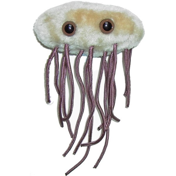 GIANTMICROBES E. Coli