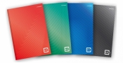 Brulion A5/96K kratka Color 2.0 (5szt)
