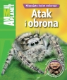 Atak i obrona