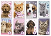 Notes A7 Sweet Pets 30 kartek z poddrukiem 16 sztuk mix