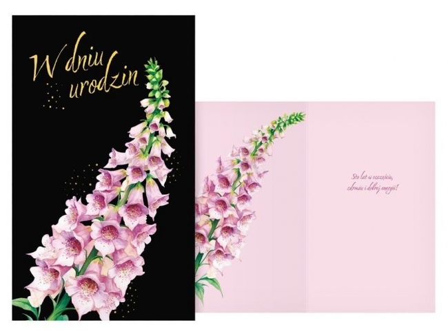 <img src='https://webimage.pl/pics/870/0/d8595724450870.jpg'>