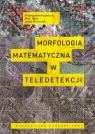 Morfologia matematyczna w teledetekcji Przemysław Kupidura, Piotr Koza, Jacek Marciniak