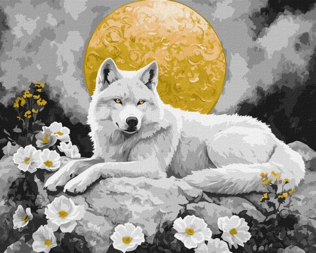 <img src='https://webimage.pl/pics/870/7/d4823104377870.jpg'>