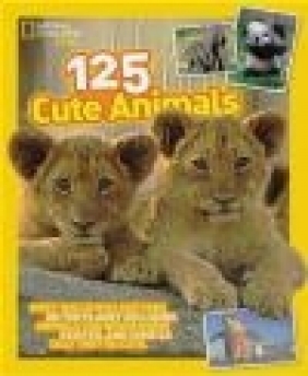 125 Cute Animals