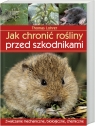 Jak chronić rośliny przed szkodnikami