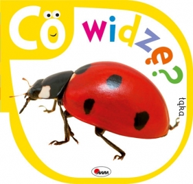 Co widzę Łąka - Piotr Kozera