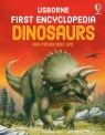 First Encyclopedia of Dinosaurs Sam Taplin