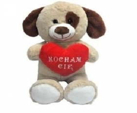 Pies Kocham Cię 20cm