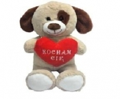 Pies Kocham Cię 20cm