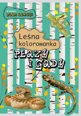 Płazy i gady. Leśna kolorowanka - Katarzyna Kopiec - Sekieta