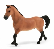 Ogier rasy Trakehner (72136)