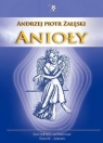 Anioły Ezoteryka od podstaw Załęski Andrzej Piotr