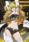 Akame ga Kill! Tom 12