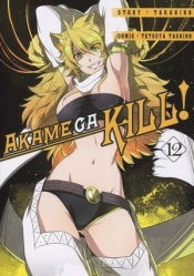 Akame ga Kill! Tom 12 - Takahiro