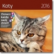 Koty. Kalendarz ścienny 2016 - Opracowanie zbiorowe