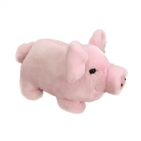 Świnka domowa 26cm