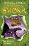 Jak wytresować smoka 3. Jak mówić po smoczemu Cressida Cowell