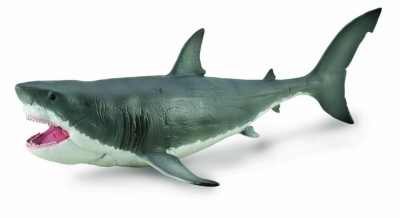 Megalodon