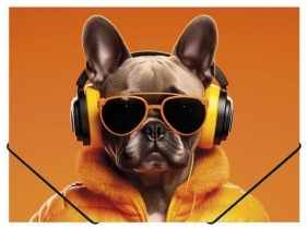 Teczka na gumkę z nadrukiem A4 PP - Cool Dog