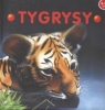 Tygrysy