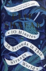 10 Minutes 38 Seconds in this Strange World Elif Shafak