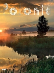 Polonia - Eustachy Rylski