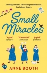 Small Miracles Booth Anne