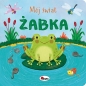 Mój świat. Żabka - Vanevska Katarzyna