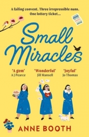 Small Miracles - Booth Anne